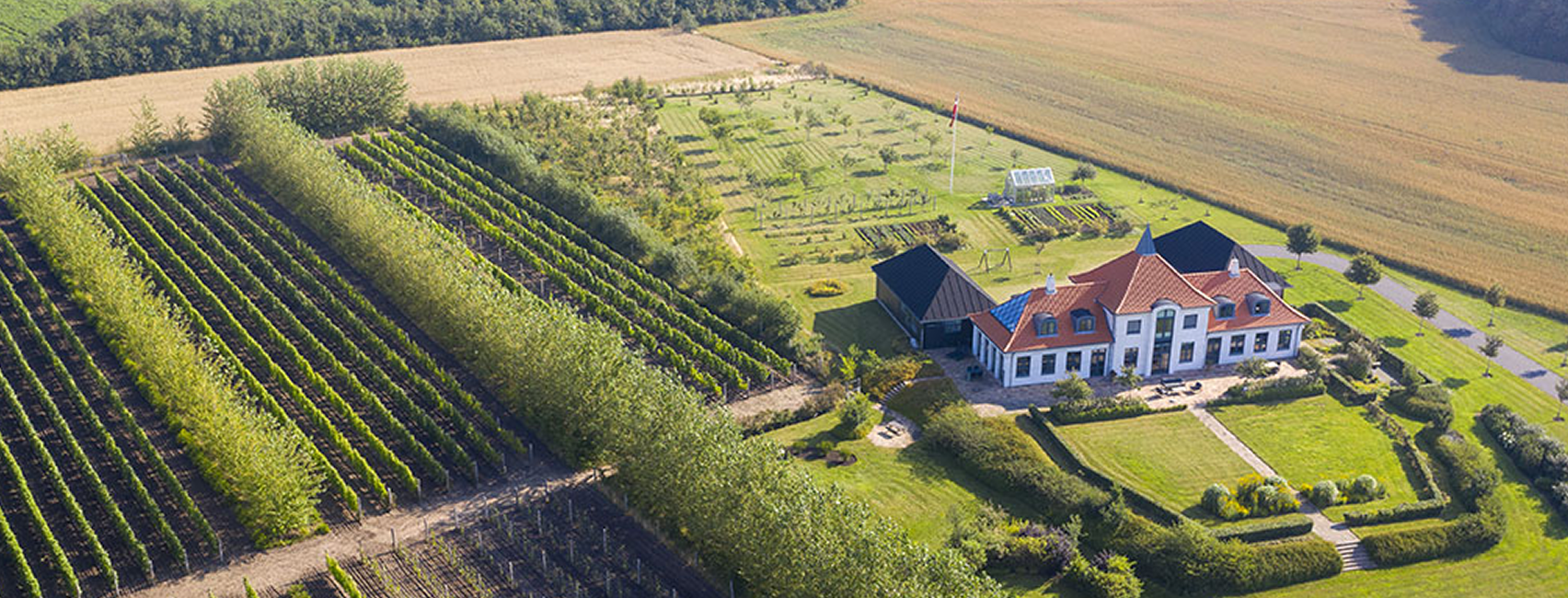 Havblink Vineyard